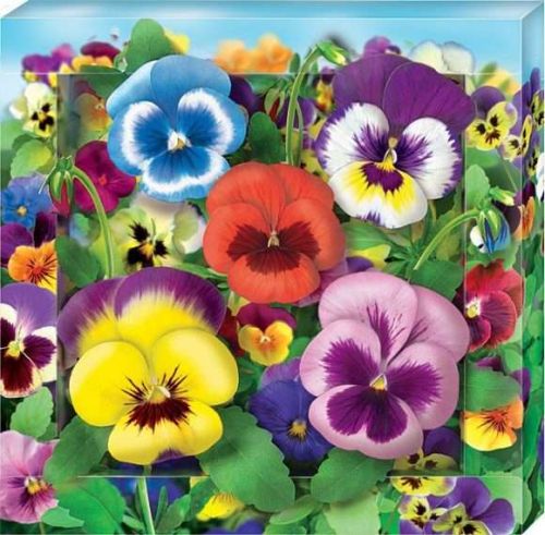 Клеvер Набор для изготовления картины Анютины глазки (АБ 41-307)