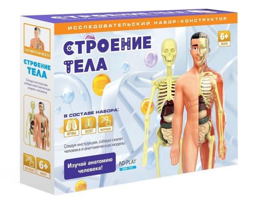 набор исследовательский строение тела Набор исследовательский Строение тела