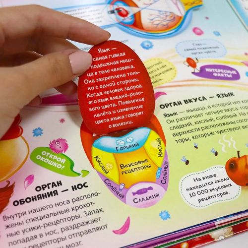 Книга Malamalama Интерактивная энциклопедия. Анатомия фото 5