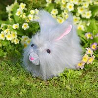 Мягкая игрушка Abtoys Домашние любимцы. Кролик ангорский серо-голубой, 25см