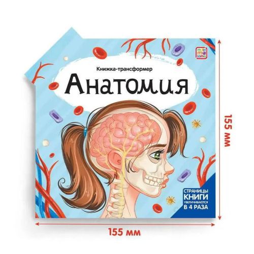 Книга Malamalama Книжка-трансформер. Анатомия фото 2