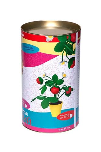 Топиарий Земляника 20 см фото 3