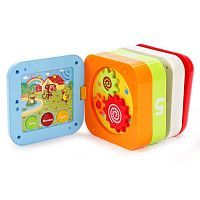 Развивающая игрушка Бизикуб 100963760