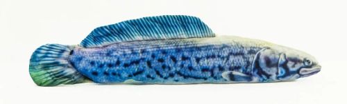 арапайма 85 см Арапайма 85 см