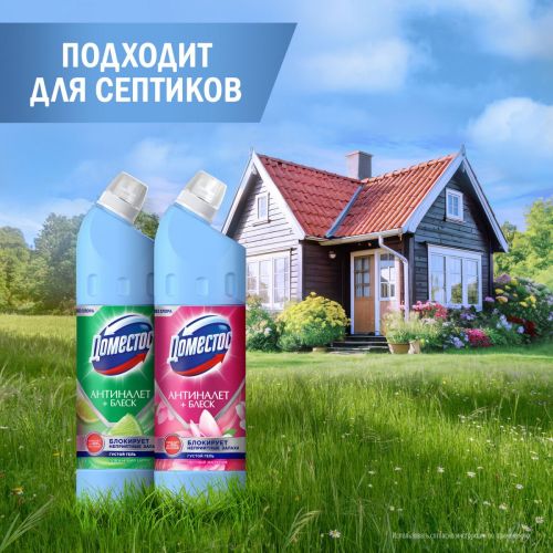 доместос средство чистящее цветущая магнолия 750мл фото 2 Доместос Средство Чистящее Цветущая Магнолия 750мл фото 2