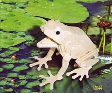 Сборная деревянная модель Чудо-Дерево Животные Лягушка"