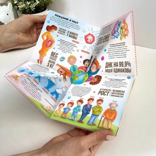 Книга Malamalama Книжка-трансформер. Анатомия фото 5