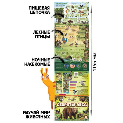 плакат malamalama с окошками секреты леса фото 2 Плакат Malamalama с окошками Секреты леса фото 2